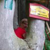 Pred nami sa neschováš